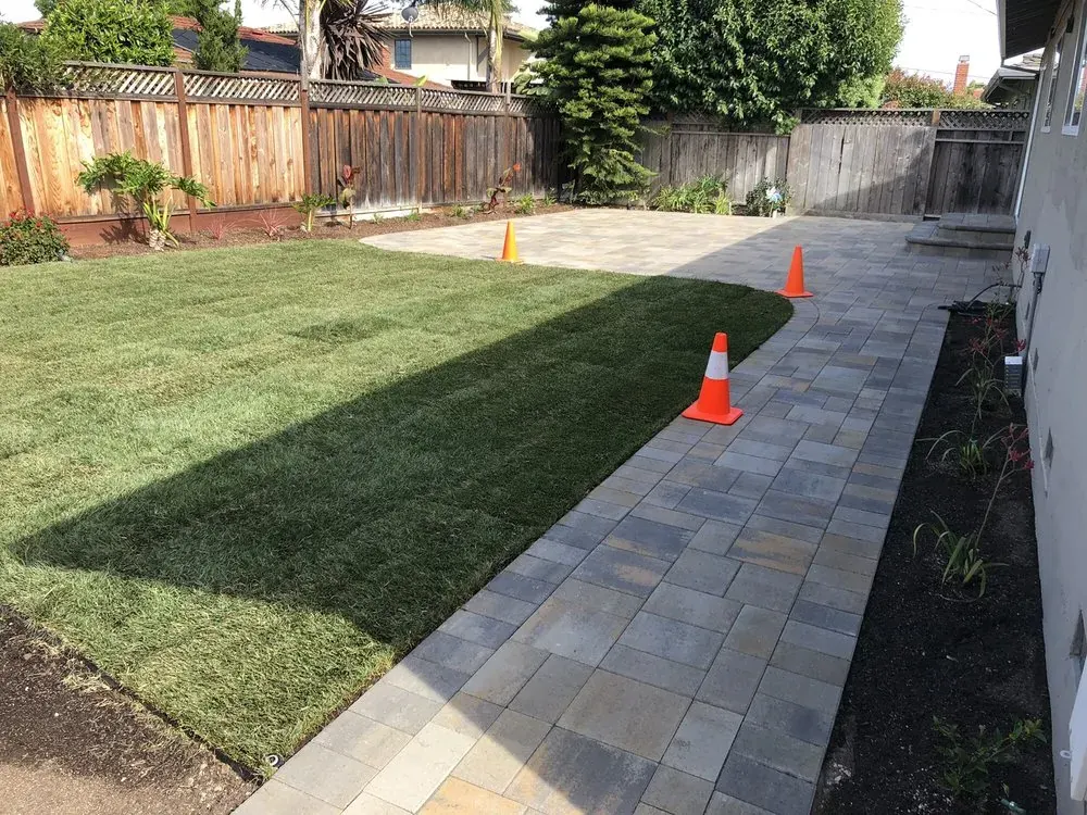 New sod lawn beside a paver walkway