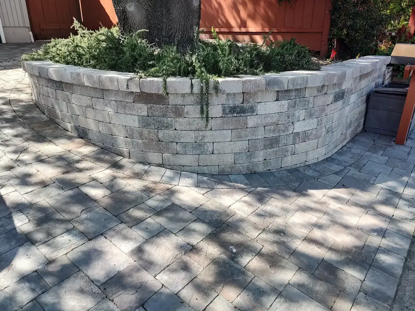 Block seat wall built around a mature tree